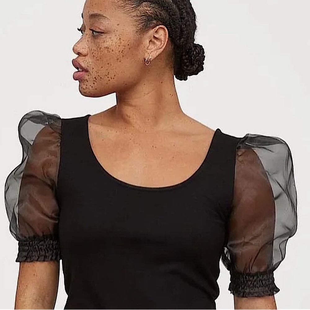 Sheer Puffy Sleeve Crop Top